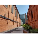 Zdjęcia użytkowników Motorola Moto G30 Dual SIM