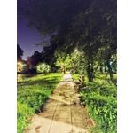 Zdjęcia użytkowników Motorola Moto G30 Dual SIM