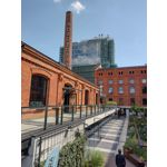 Zdjęcia użytkowników Motorola Moto G30 Dual SIM