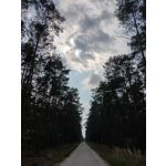 ZDJĘCIA Z TEGO TELEFONU