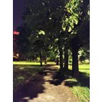 Zdjęcia użytkowników Motorola Moto G30 Dual SIM