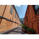 Zdjęcia użytkowników Motorola Moto G30 Dual SIM