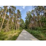 Zdjęcia użytkowników Motorola Moto G30 Dual SIM