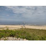 Zdjęcia użytkowników Motorola Moto G30 Zdjęcia użytkowników Motorola Moto G30