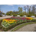 Zdjęcia użytkowników Motorola Moto G30 Zdjęcia użytkowników Motorola Moto G30