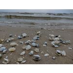 Zdjęcia użytkowników Motorola Moto G30 Zdjęcia użytkowników Motorola Moto G30