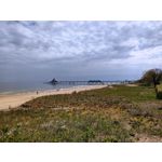 Zdjęcia użytkowników Motorola Moto G30 Zdjęcia użytkowników Motorola Moto G30