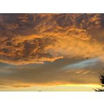 Zdjęcia użytkowników Motorola Moto G30 Zdjęcia użytkowników Motorola Moto G30