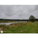 Zdjęcia użytkowników Motorola Moto G30 Zdjęcia użytkowników Motorola Moto G30