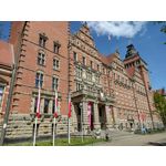 Zdjęcia użytkowników Motorola Moto G30 Zdjęcia użytkowników Motorola Moto G30