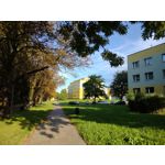 Zdjęcia użytkowników Motorola Moto G30 Zdjęcia użytkowników Motorola Moto G30