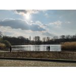 Zdjęcia użytkowników Motorola Moto G34 5G