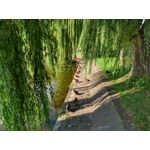 Zdjęcia użytkowników Motorola Moto G5