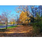 Zdjęcia użytkowników Motorola Moto G54 Power Edition