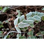 Zdjęcia użytkowników Motorola Moto G54