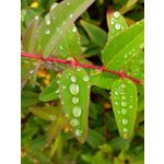 ZDJĘCIA Z TEGO TELEFONU