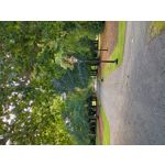 ZDJĘCIA Z TEGO TELEFONU