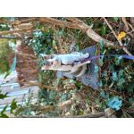 ZDJĘCIA Z TEGO TELEFONU