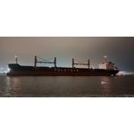 Zdjęcia użytkowników Motorola Moto G54