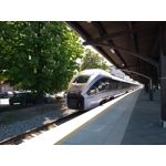 Zdjęcia użytkowników Motorola Moto G5S