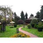 Zdjęcia użytkowników Motorola Moto G5S