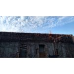 ZDJĘCIA Z TEGO TELEFONU