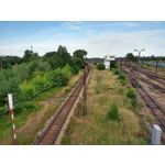 Zdjęcia użytkowników Motorola Moto G6 Plus Dual SIM