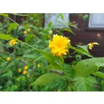 Zdjęcia użytkowników Motorola Moto G6 Plus Zdjęcia użytkowników Motorola Moto G6 Plus