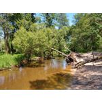 Zdjęcia użytkowników Motorola Moto G6 Plus Zdjęcia użytkowników Motorola Moto G6 Plus