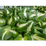 Zdjęcia użytkowników Motorola Moto G6 Plus Zdjęcia użytkowników Motorola Moto G6 Plus