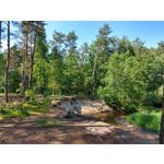 Zdjęcia użytkowników Motorola Moto G6 Plus Zdjęcia użytkowników Motorola Moto G6 Plus