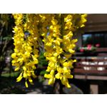 Zdjęcia użytkowników Motorola Moto G6 Plus Zdjęcia użytkowników Motorola Moto G6 Plus