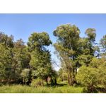 Zdjęcia użytkowników Motorola Moto G6 Plus Zdjęcia użytkowników Motorola Moto G6 Plus