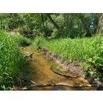 Zdjęcia użytkowników Motorola Moto G6 Plus Zdjęcia użytkowników Motorola Moto G6 Plus