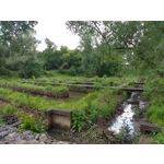 Zdjęcia użytkowników Motorola Moto G6 Plus Zdjęcia użytkowników Motorola Moto G6 Plus