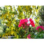 Zdjęcia użytkowników Motorola Moto G6 Plus Zdjęcia użytkowników Motorola Moto G6 Plus