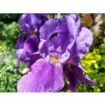 Zdjęcia użytkowników Motorola Moto G6 Plus Zdjęcia użytkowników Motorola Moto G6 Plus