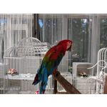 Zdjęcia użytkowników Motorola Moto G6 Plus Zdjęcia użytkowników Motorola Moto G6 Plus