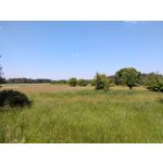 Zdjęcia użytkowników Motorola Moto G6 Plus Zdjęcia użytkowników Motorola Moto G6 Plus