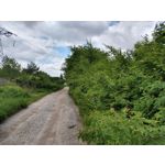 Zdjęcia użytkowników Motorola Moto G6 Plus Zdjęcia użytkowników Motorola Moto G6 Plus