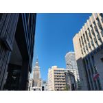 Zdjęcia użytkowników Motorola Moto G6 Plus Zdjęcia użytkowników Motorola Moto G6 Plus