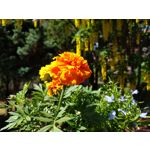 Zdjęcia użytkowników Motorola Moto G6 Plus Zdjęcia użytkowników Motorola Moto G6 Plus