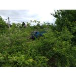 Zdjęcia użytkowników Motorola Moto G6 Plus Zdjęcia użytkowników Motorola Moto G6 Plus