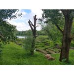 Zdjęcia użytkowników Motorola Moto G6 Plus Zdjęcia użytkowników Motorola Moto G6 Plus