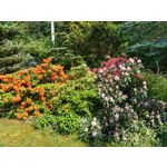 Zdjęcia użytkowników Motorola Moto G6 Plus Zdjęcia użytkowników Motorola Moto G6 Plus