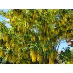 Zdjęcia użytkowników Motorola Moto G6 Plus Zdjęcia użytkowników Motorola Moto G6 Plus