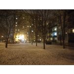 Zdjęcia użytkowników Motorola Moto G60s