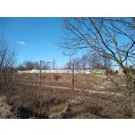 ZDJĘCIA Z TEGO TELEFONU