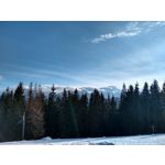 Zdjęcia użytkowników Motorola Moto G7 Dual SIM Zdjęcia użytkowników Motorola Moto G7 Dual SIM