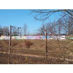 ZDJĘCIA Z TEGO TELEFONU